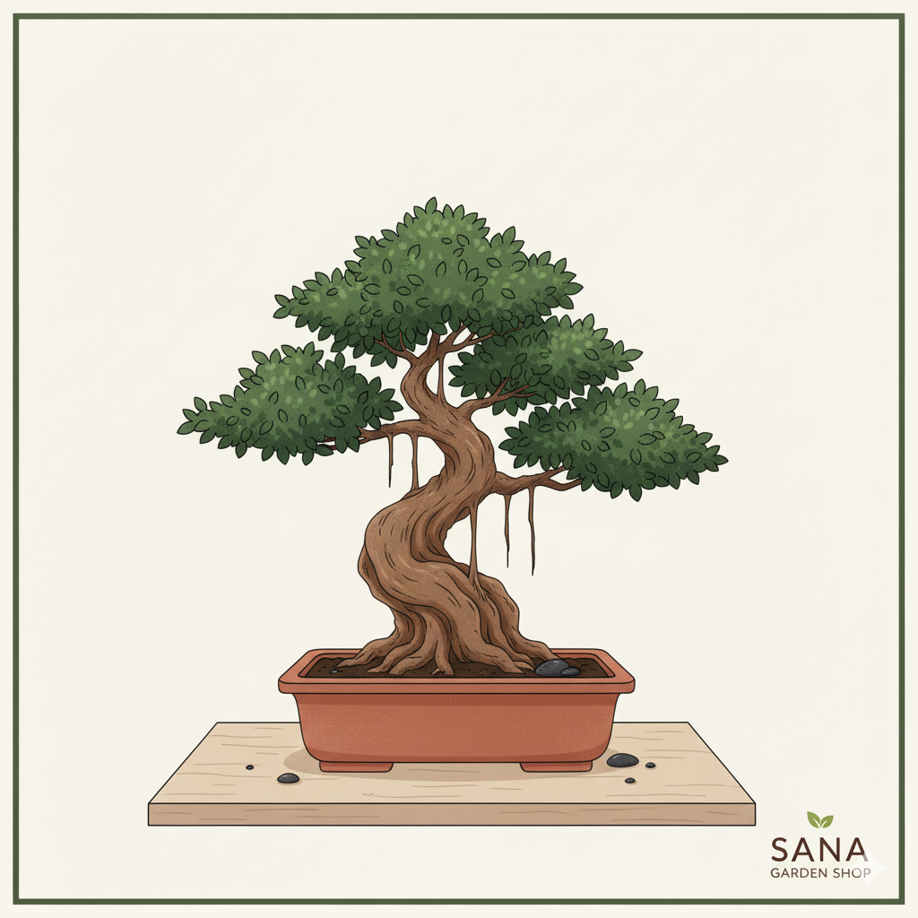 Bonsai